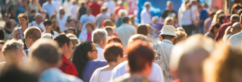 Redes transdisciplinarias