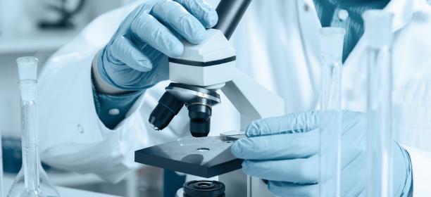 Portafolio de académicas/os