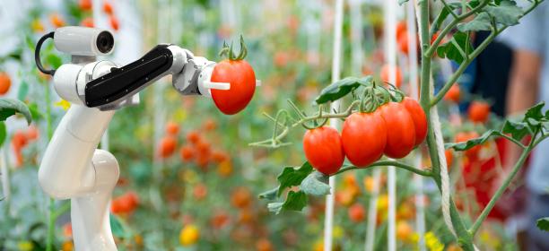 Portafolio de tecnologías