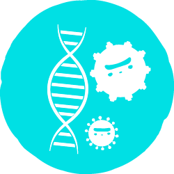 ¿Cómo podemos detener el surgimiento de nuevas variantes?