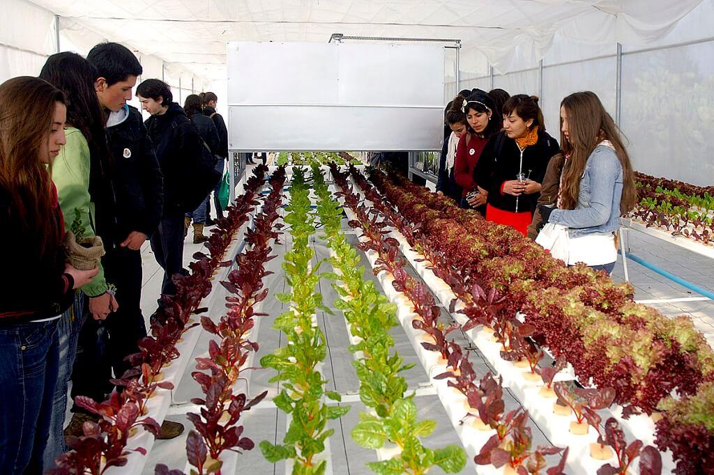 Acuerdo de Producción Limpia II