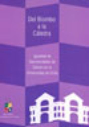 Del Biombo a la Cátedra: Igualdad de Oportunidades de Género en la Universidad de Chile