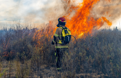 Universidad de Chile publica orientaciones y herramientas para enfrentar amenazas naturales y de acción humana