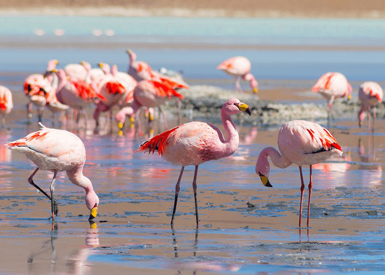 Centros e institutos de Biomedicina